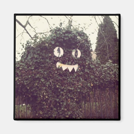 ブードゥーブッシュ マグネット (正面)