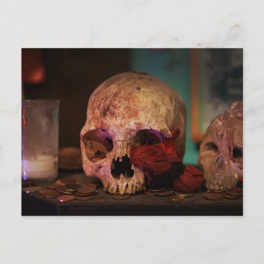 ブードゥー・ホードゥーのニューオーリンズ ポストカード (正面)