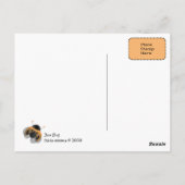 ブーバグ ポストカード (裏面)