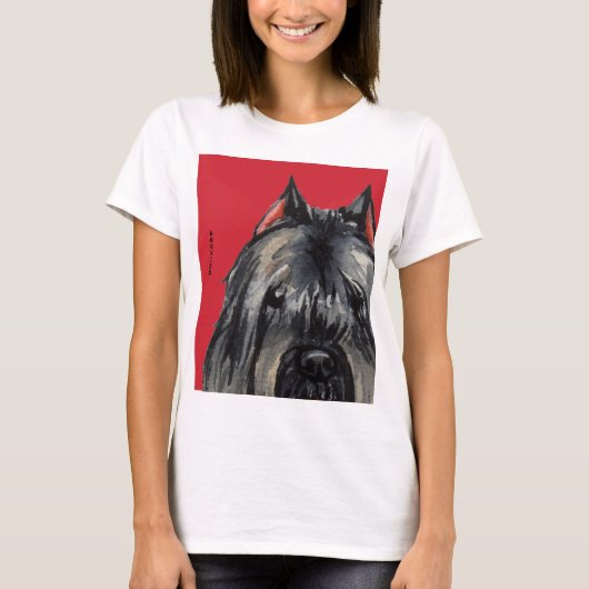 ブービエのカラーブロック Tシャツ (正面)