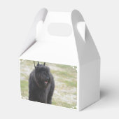 ブービエルズデフランダース フェイバーボックス (裏面サイド)