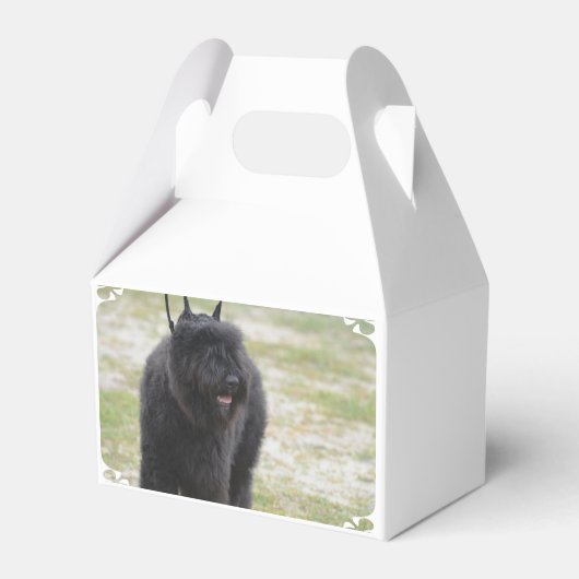 ブービエルズデフランダース フェイバーボックス (正面サイド)