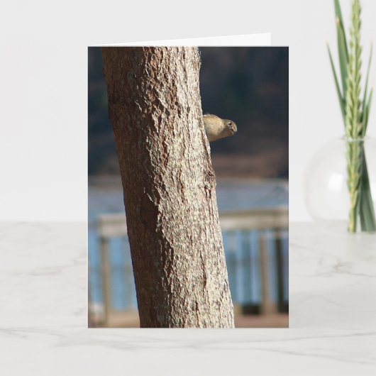 ブーブーの誕生日カード カード (正面)