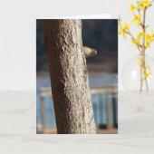 ブーブーの誕生日カード カード (黄色い花)