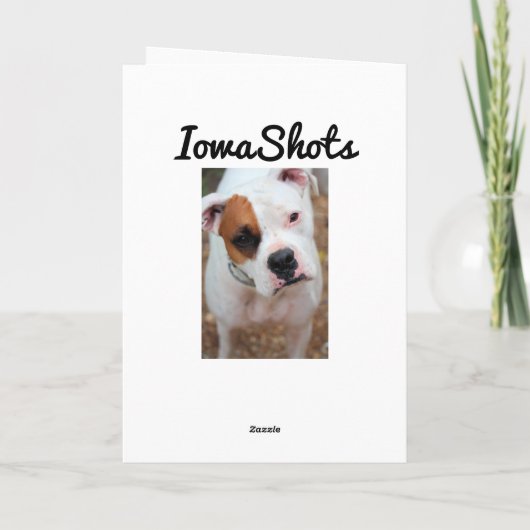 ブープ カード (裏面)