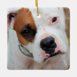 ブープ セラミックオーナメント