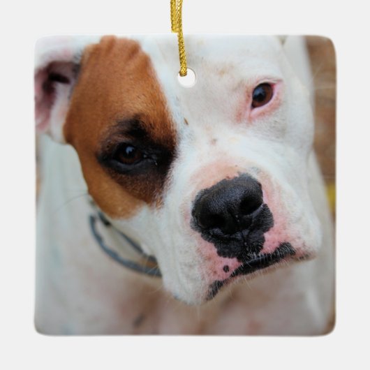 ブープ セラミックオーナメント (正面)