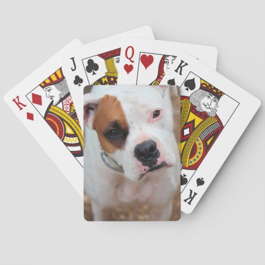 ブープ トランプ (裏面)