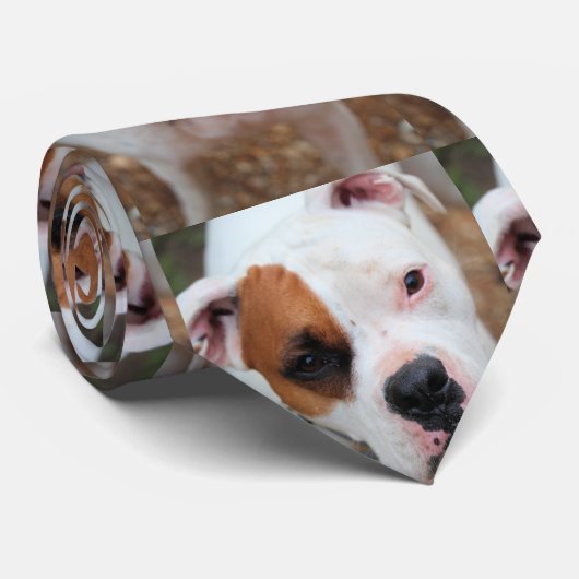 ブープ ネクタイ (ロール)