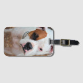 ブープ ラゲッジタグ (正面横)