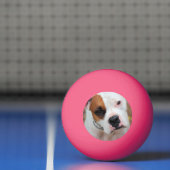 ブープ 卓球ボール (ネット)