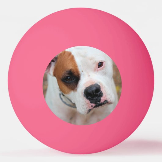 ブープ 卓球ボール (正面)