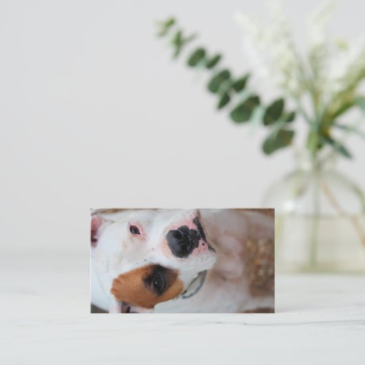 ブープ 名刺 (スタンド正面)