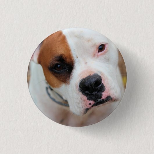 ブープ 缶バッジ (正面)