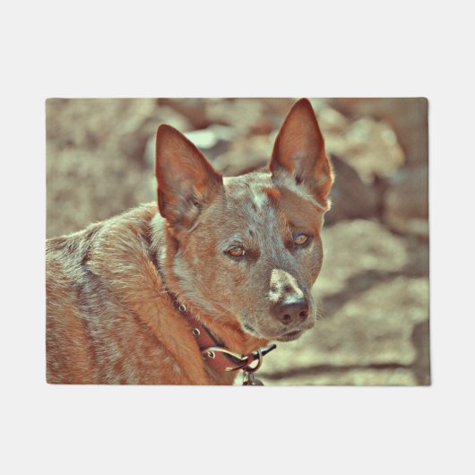 ブーマーの赤いHellerのマット ドアマット (正面)