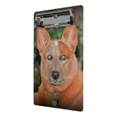 "ブーマー"の赤いHeeler犬の小型クリップボード ミニクリップボード (アングル2)