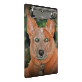 "ブーマー"の赤いHeeler犬の小型クリップボード ミニクリップボード (アングル)