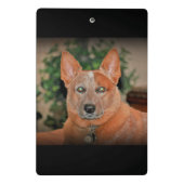 "ブーマー"の赤いHeeler犬の小型クリップボード ミニクリップボード (裏面)