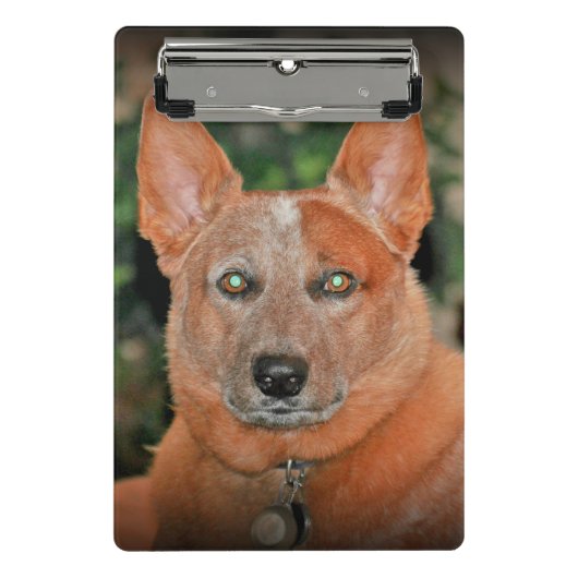 "ブーマー"の赤いHeeler犬の小型クリップボード ミニクリップボード (正面)