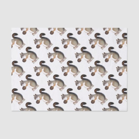 ブーマー・リス 薄葉紙 (正面)