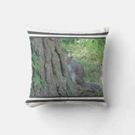 ブーリスのピーク –  クッション