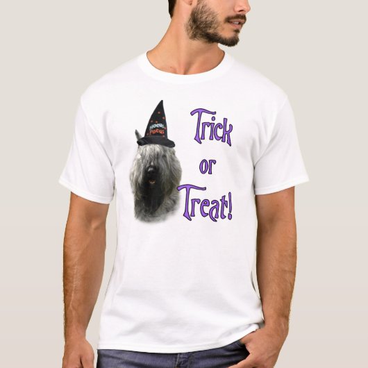 ブーヴィエデフランダレストリック Tシャツ (正面)