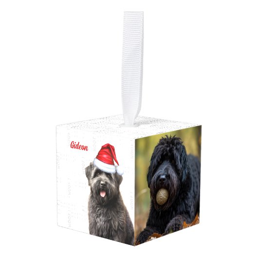 ブーヴィエデフランダレスドッグツーフォトホリデー キューブオーナメント (正面アングル)