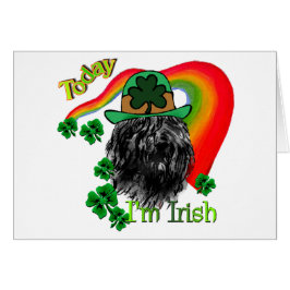 ブーヴィエデフランドリスSt patricks