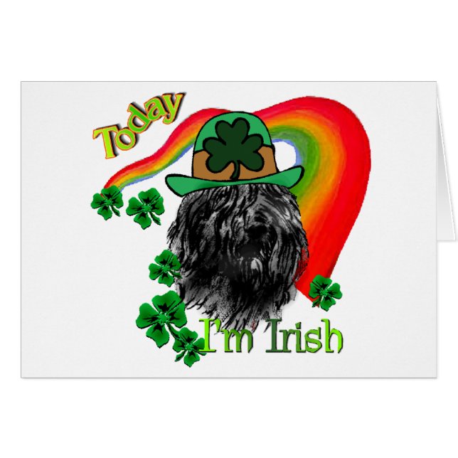 ブーヴィエデフランドリスSt patricks (正面横)