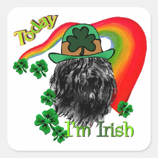 ブーヴィエデフランドリスSt patricks スクエアシール (正面)