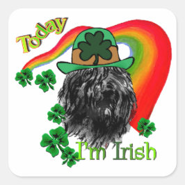 ブーヴィエデフランドリスSt patricks スクエアシール