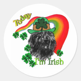 ブーヴィエデフランドリスSt patricks ラウンドシール