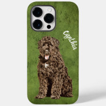 ブーヴィエデフランドレグランジス