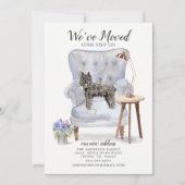 ブーヴィエ・デ・フランドレスの動く発表 案内状 (正面)