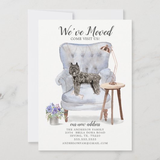 ブーヴィエ・デ・フランドレスの動く発表 案内状 (正面)