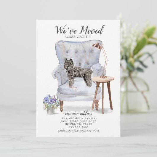 ブーヴィエ・デ・フランドレスの動く発表 案内状 (スタンド正面)