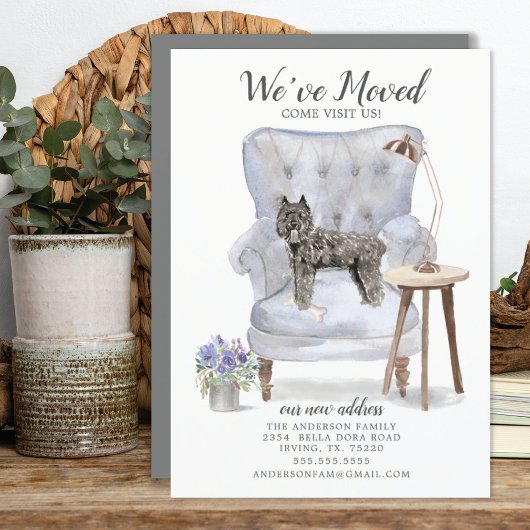 ブーヴィエ・デ・フランドレスの動く発表 案内状