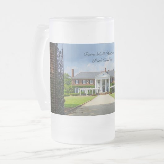 ブーーンホールフロストマグカップへようこそ フロストグラスビールジョッキ (正面左)