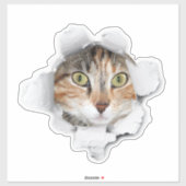 ブー猫の荷物をのぞく シール (シート)