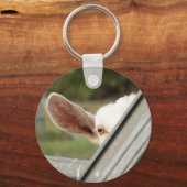 ブー白ヤギのぞき！かわいいヤギ待ち写真 キーホルダー (正面)