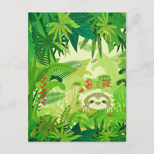 ブー・ジャングルのナマケモノを覗く ポストカード (正面)