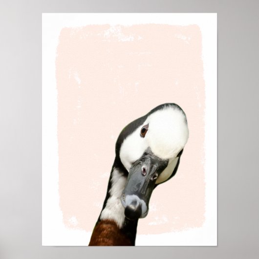 ブー・ダック子供部屋・ウォール・アートの覗き ポスター (正面)