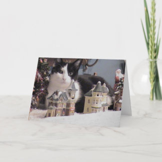 ブー・ブー・クリスマス シーズンカード