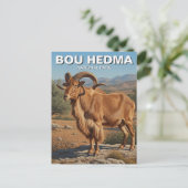ブー・ヘドマ国立公園チュニジアのバーバリー・ヒツジ ポストカード (スタンド正面)