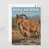 ブー・ヘドマ国立公園チュニジアのバーバリー・ヒツジ ポストカード (正面/裏面)