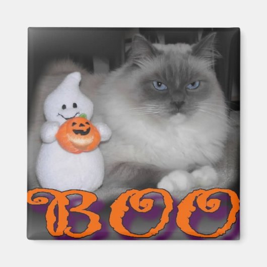 ブー マグネット (正面)