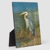 ブ素晴らしルーヘロンバードアットザポンド フォトプラーク (側面)