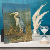 ブ素晴らしルーヘロンバードアットザポンド フォトプラーク (側面)