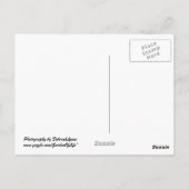 ブ素朴ルクヘッドオンビーチ ポストカード (裏面)