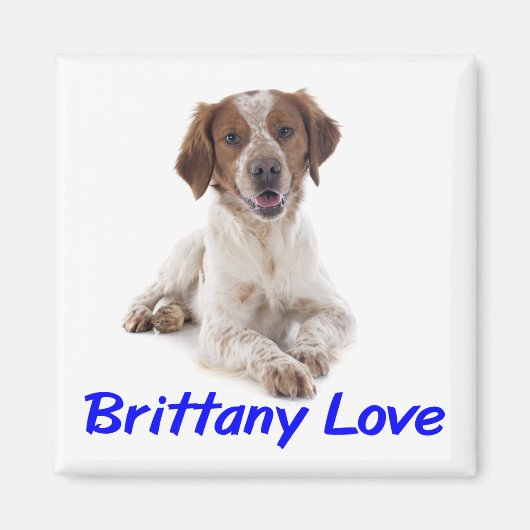 ブrittany スパニエル 子犬 愛 マグネット (正面)